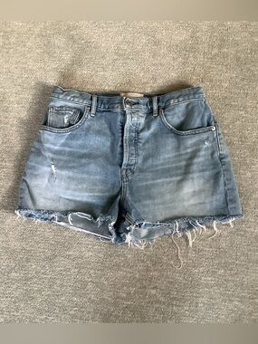 Everlane “The Cheeky Short” Distressed Denim Cutoffs Sz. 30